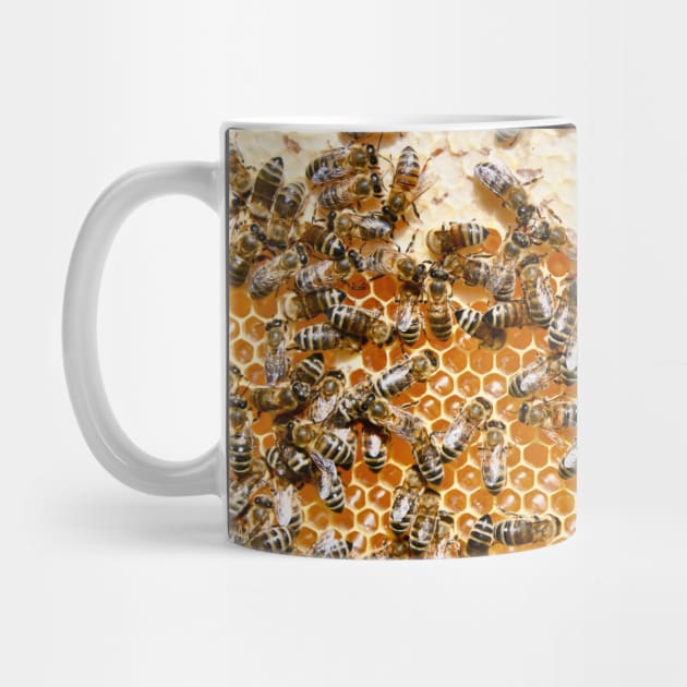 Honey bees & honeycombs / Swiss Artwork Photography by RaphaelWolf